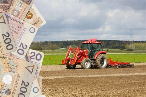 Ponad 100 tys zł za 1 ha gruntów Jakie są ceny ziemi rolnej w