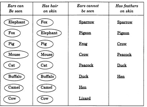 NCERT Solutions For Class 4 EVS Chapter 2 Ear To Ear Learn CBSE