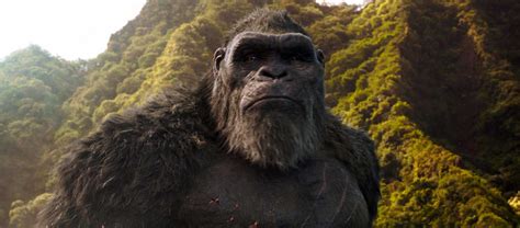 Estreia de Godzilla vs Kong atinge US 21 5 milhões na China