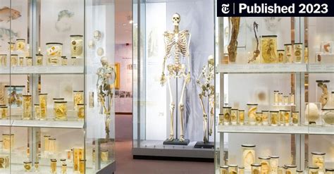 London Museum Removes ‘Irish Giant’ Skeleton From Display - The New ...