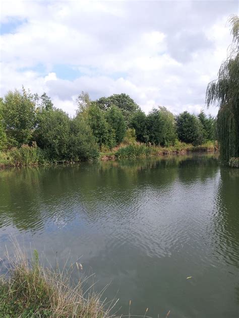 UK fishing venues: Pool Bridge Farm (Horseshoe Lake) - Venue Review