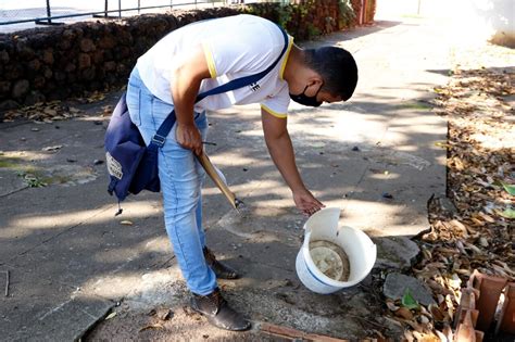 Ações De Combate Ao Mosquito Da Dengue São Intensificadas Em Gurupi