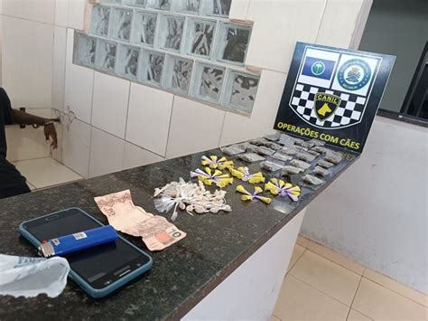 Canil Da Gm Apreende Menor Sacola De Drogas No Cidade Aracy