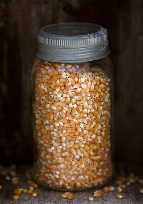 Popcorn Kernels In A Mason Jar Posters And Prints By Corbis