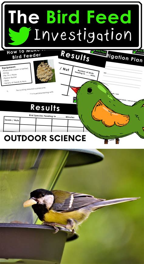 Living Things The Bird Feed Investigation Outdoor Science Science Birds Investigations