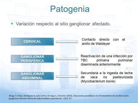 Presentaciones Depto Cirug A Hospital Del Salvador