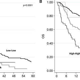 Progression Free Survival Pfs And Overall Survival Os According