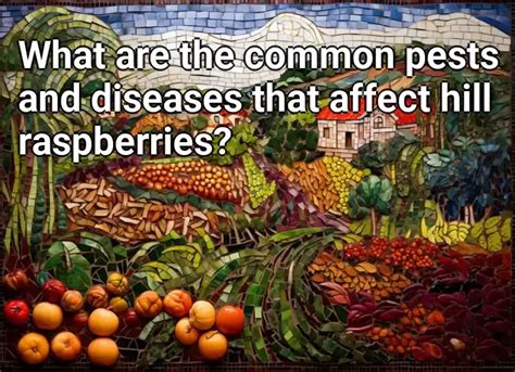 What Are The Common Pests And Diseases That Affect Hill Raspberries