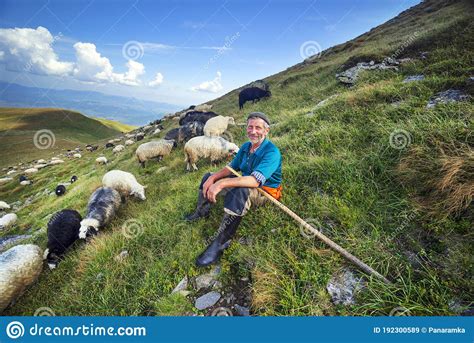 Pastor De Ovinos Pessoal Nas Montanhas Imagem De Stock Imagem De