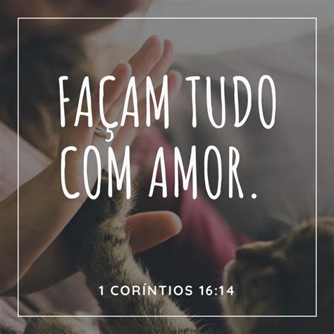 A Person Holding A Cat In Their Hands With The Words Facamtudo Amor