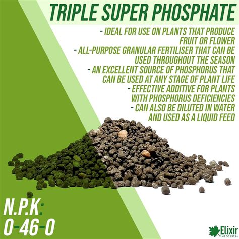 Uses Of Phosphorus In Plants