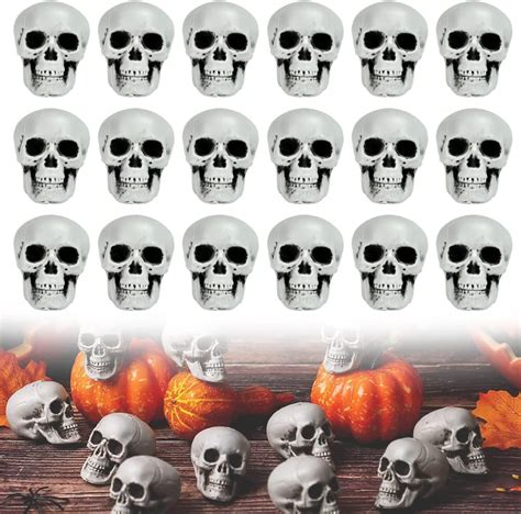 Favengo Pcs Halloween Skulls Mini Plastic Skull Heads Fake Skull