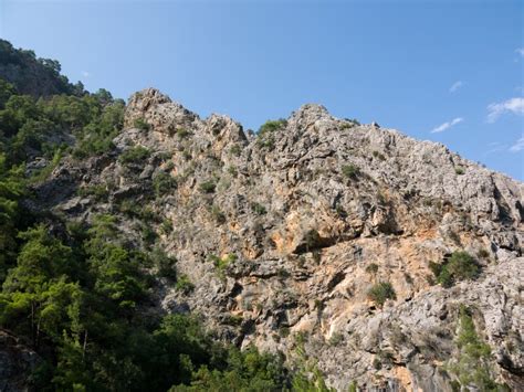 Antalya Goynuk Canyon Beautiful Mountain With Trees In National