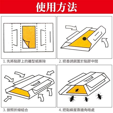 上黏 黏蟑屋蟑螂屋捕蟑屋10入裝 Pchome 24h購物