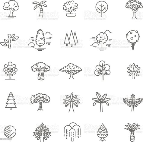 Set Of Tree Shape Vector Line Icons Stock Illustration Download Image