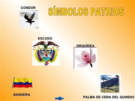 Imagenes De Los Simbolos Patrios De Colombia Muchas Gracias Brainly Lat