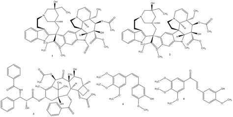 Anti Microtubule Agents Vincristine 1 Vinblastine 2 Paclitaxel