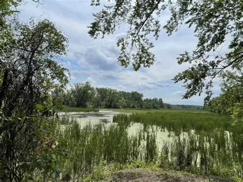 10 Best Trails And Hikes In Clifton Park Alltrails