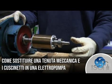 Come Sostituire Una Tenuta Meccanica E I Cuscinetti In Una Elettropompa