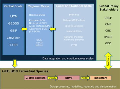 The Steps From Local And National To Regional To Global Scale