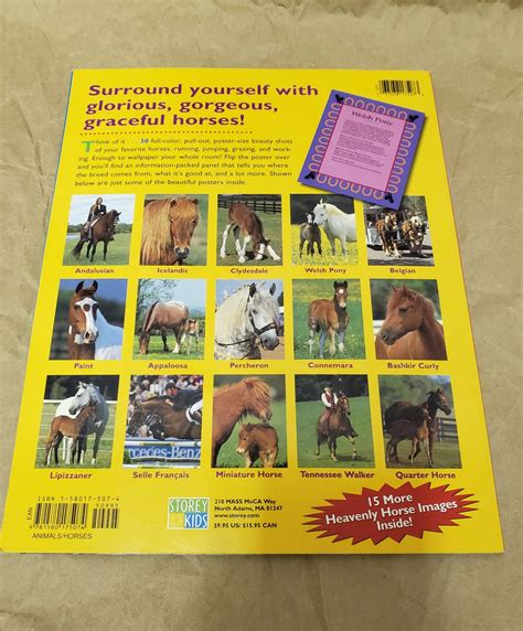 Horse Breeds Poster Book Etsy