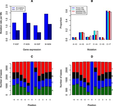 Somatic SNVs Analysis In Acral Melanoma Samples A Somatic SNV