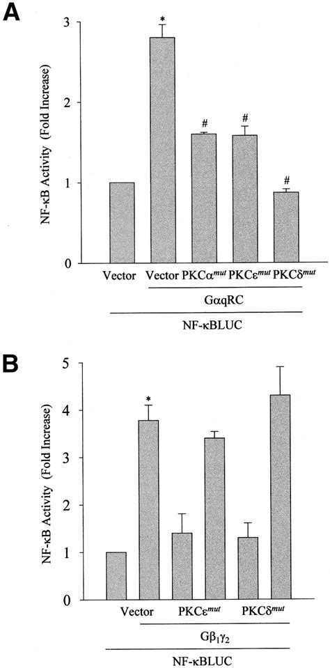 Gαq And Gβγ Regulate Par 1 Signaling Of Thrombin Induced Nf κb