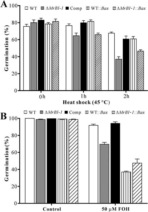 Spore Survival Assays Against Heat Shock And Foh Challenges A Spore