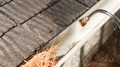 DIY Gutter Cleaning: An Easy Guide to Get the Job Done Efficiently ...