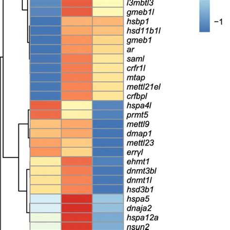 Heatmap Analysis Of Sex Specific Differentially Expressed Genes Degs