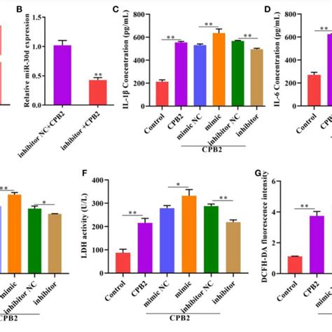 Downregulation Of Mir D Attenuated Cpb Toxin Induced Inflammatory