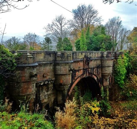 The Dog Suicide Bridge: 600 Dogs Mysteriously Jumped Off Haunted Suicide Overtoun Bridge