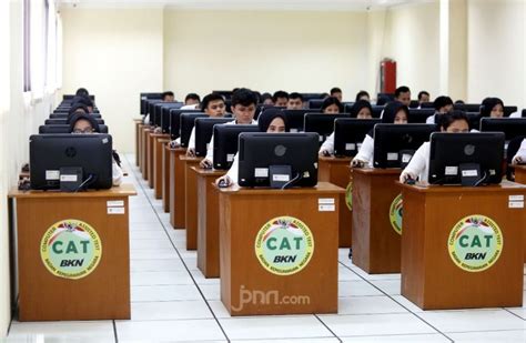 Panduan Lengkap Pendaftaran CPNS 2024 Link Jadwal Dan Syarat Terbaru