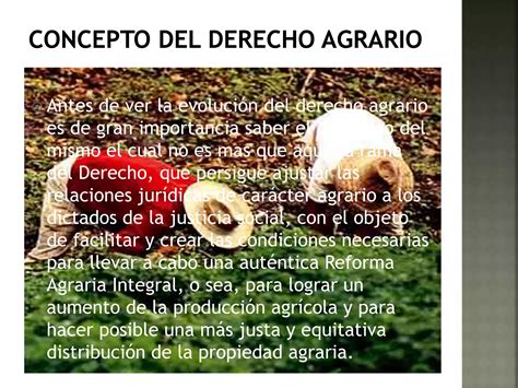 Evolucion De Derecho Agrario Ppt Descarga Gratuita