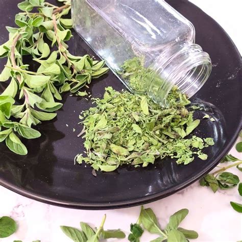 How To Dry Fresh Oregano In The Microwave Quickly Dinners Done Quick