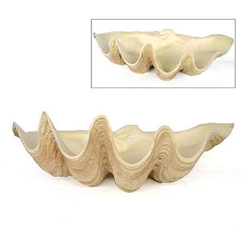 HUGE 20 NATURAL LOOKING CLAM SHELL BOWL ORNATE ART BEACH OCEAN TABLE