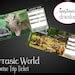 Printable Jurassic World Surprise Universal Studios Trip Tickets