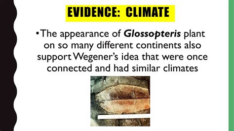 Science Grade Continental Drift Theory Ppt