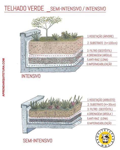 Cubierta Ajardinada Techos Verdes Y Tejados Vegetales Eco Artofit