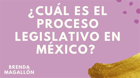 Cuál es el proceso legislativo en México YouTube