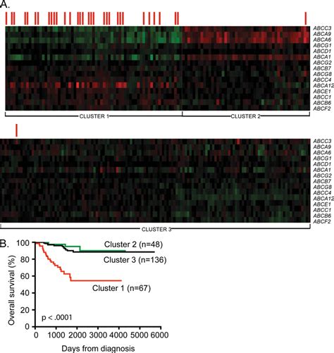 Combined Expression Of ABC Transporter Genes Predicts Cumulative