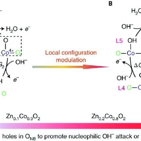 Aem And Lom Reaction Path In Oer A Schematics Of Adsorbates Evolution