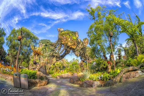 Floating mountains of Pandora in Disney's Animal Kingdom at Walt Disney ...