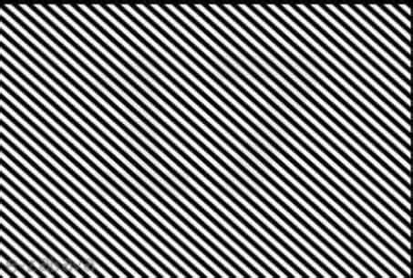 Optical illusion puzzle