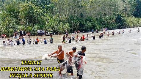 Jala Ikan Di Sungai Lubuk Larangan Lumban Pasir Disini Sarang