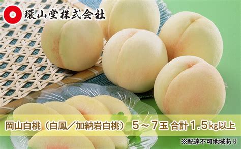 【楽天市場】【ふるさと納税】桃 2024年 先行予約 岡山 白桃（品種：白鳳／加納岩白桃）5～7玉 合計15kg以上 もも モモ 岡山県産