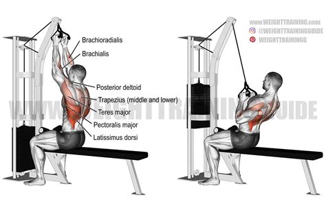 Close neutral grip lat pull-down guide and video | Weight Training Guide