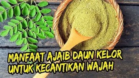 Tips Membuat Masker Daun Kelor Untuk Hilangkan Flek Hitam Dan Wajah