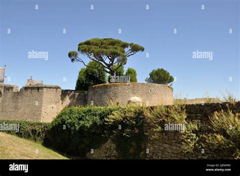 Chateau de Clisson in France Stock Photo - Alamy