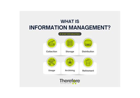 What Is Information Management Therefore